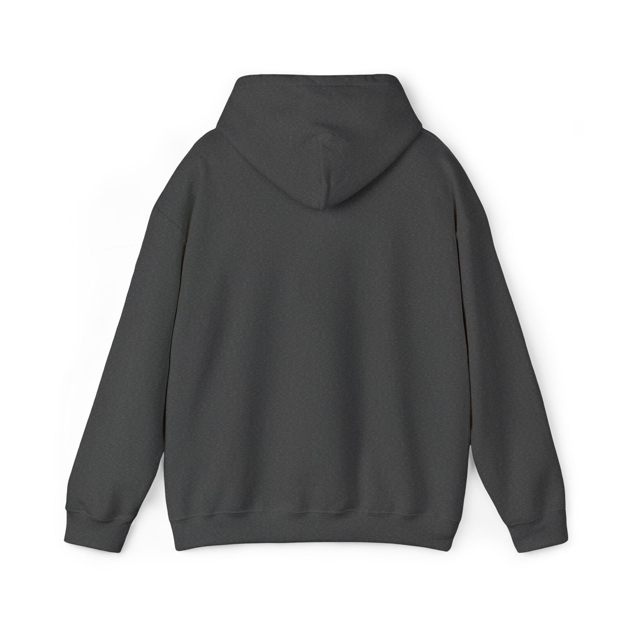 Minimalist "asâsowêw" Hoodie