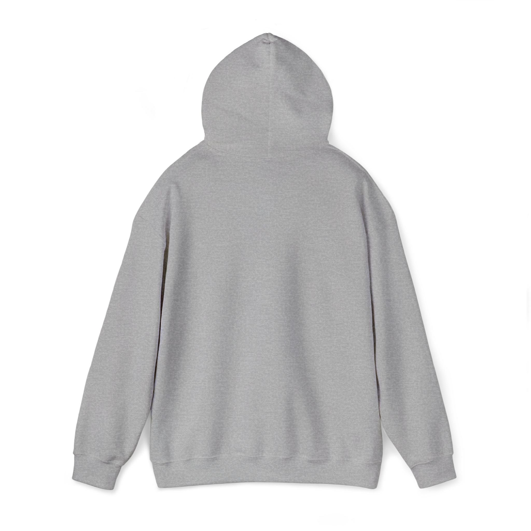 Minimalist "asâsowêw" Hoodie