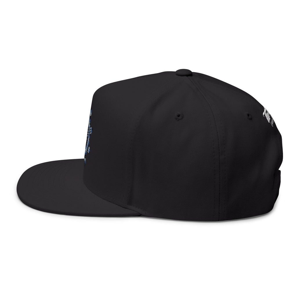 the Plug Clothing Company Embroidered Flat Bill - Native Geometric Star Logo