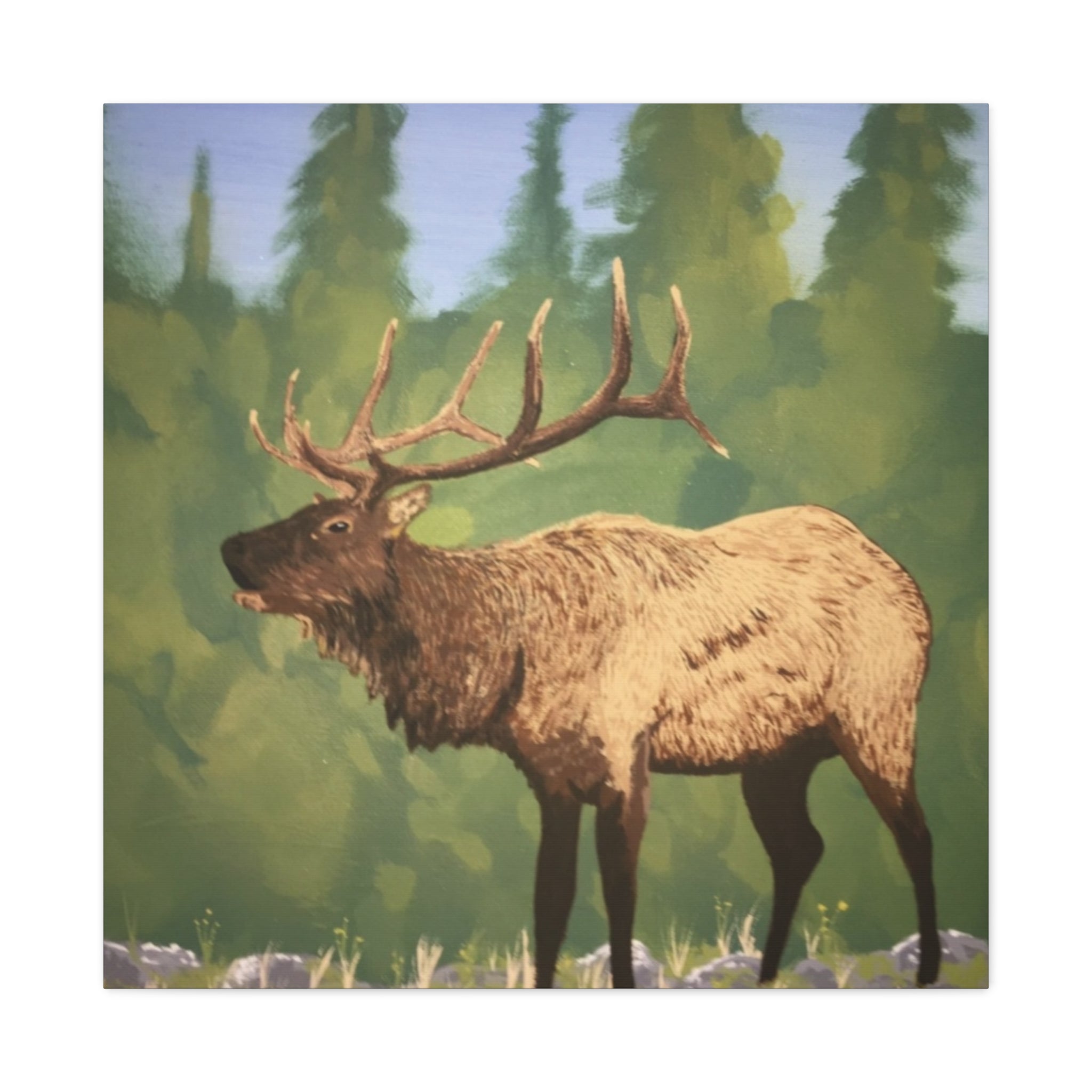 Elk in Forest Matte Canvas Wall Art - Stretched 1.25" Nature Print