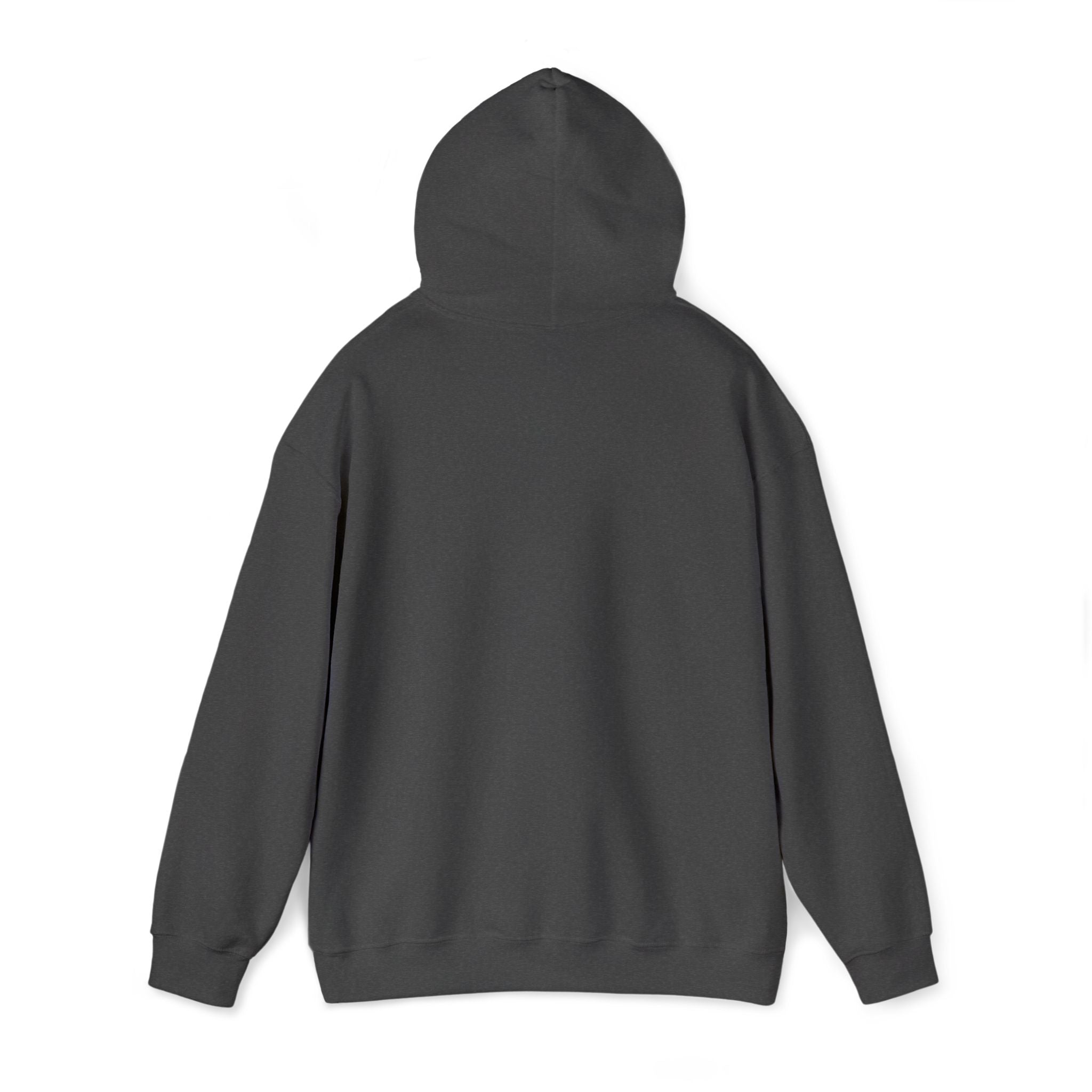 Minimalist "asâsowêw" Hoodie