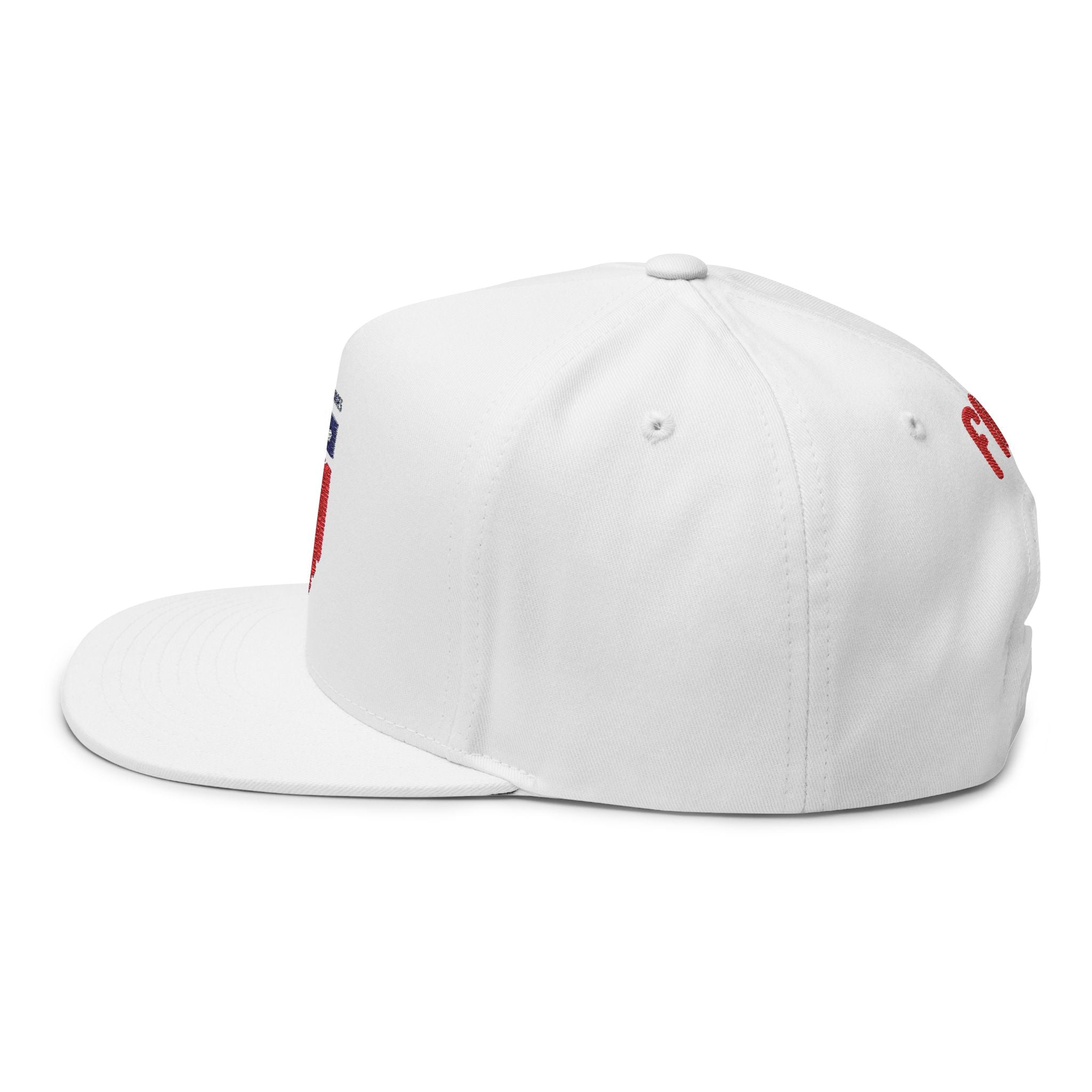 USA Shield Embroidered Flat Bill Cap — Patriotic FIFA Snapback